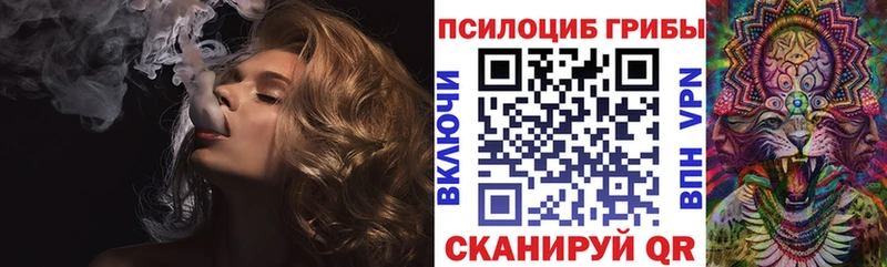 Галлюциногенные грибы MAGIC MUSHROOMS  даркнет как зайти  Вилючинск  гидра как войти 