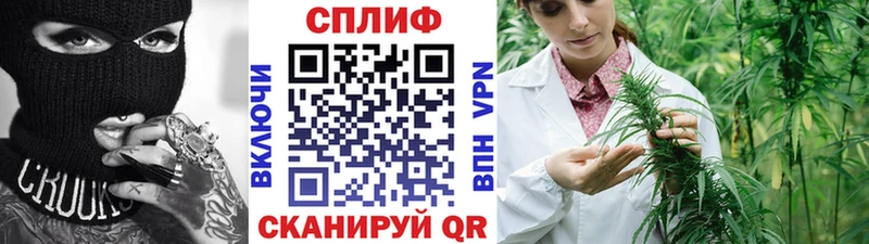 Канабис THC 21% где найти наркотики Вилючинск